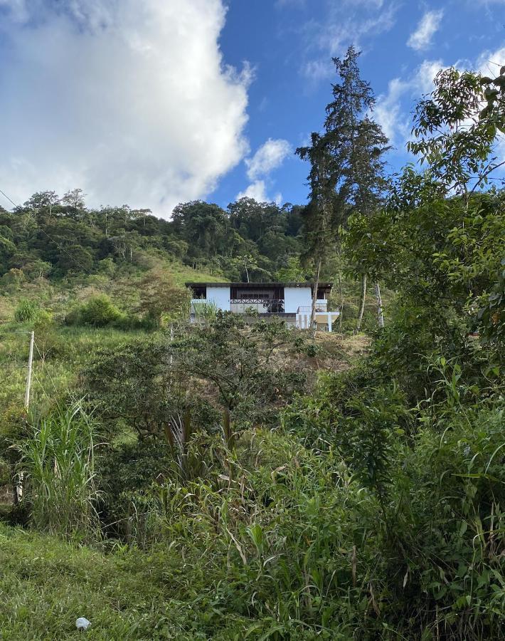 Arte De Plumas Birding Lodge Καρτάγο Εξωτερικό φωτογραφία