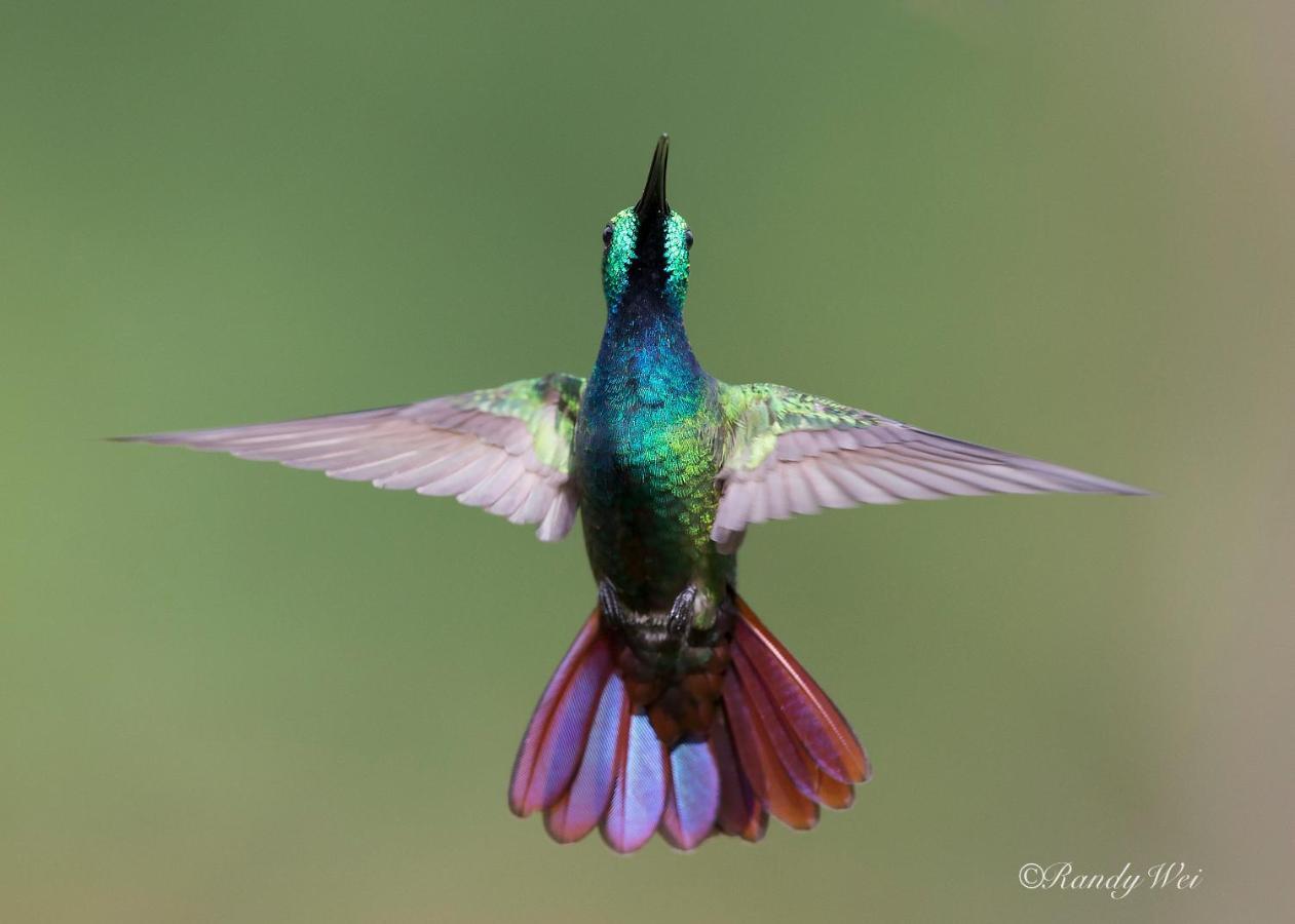 Arte De Plumas Birding Lodge Καρτάγο Εξωτερικό φωτογραφία