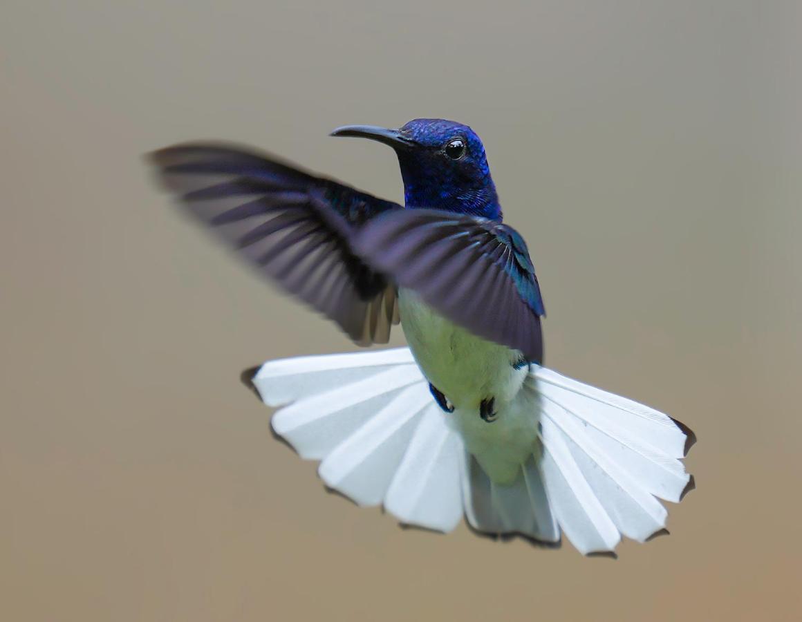 Arte De Plumas Birding Lodge Καρτάγο Εξωτερικό φωτογραφία